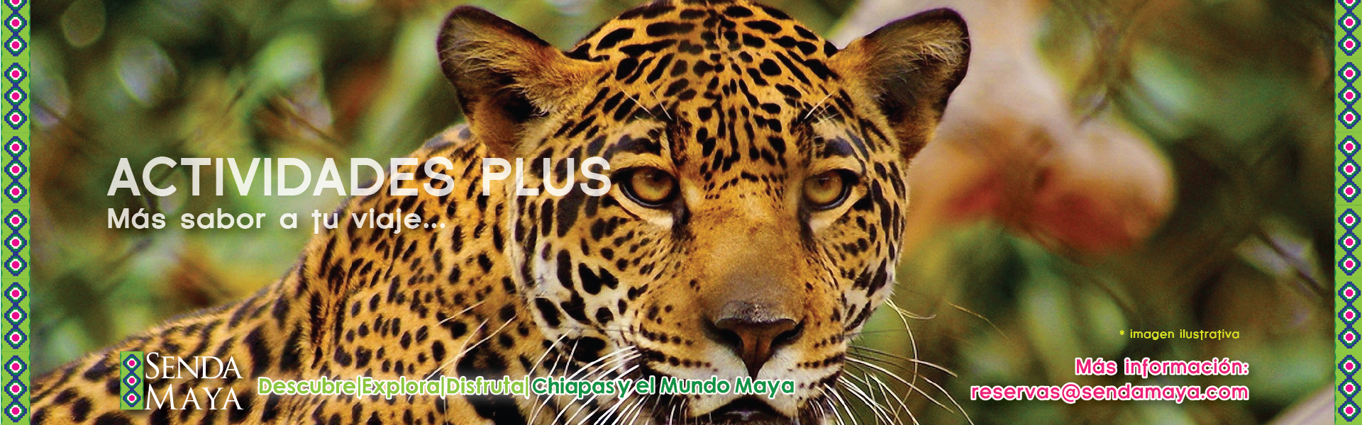 ACTIVIDADES-PLUS-CHIAPAS