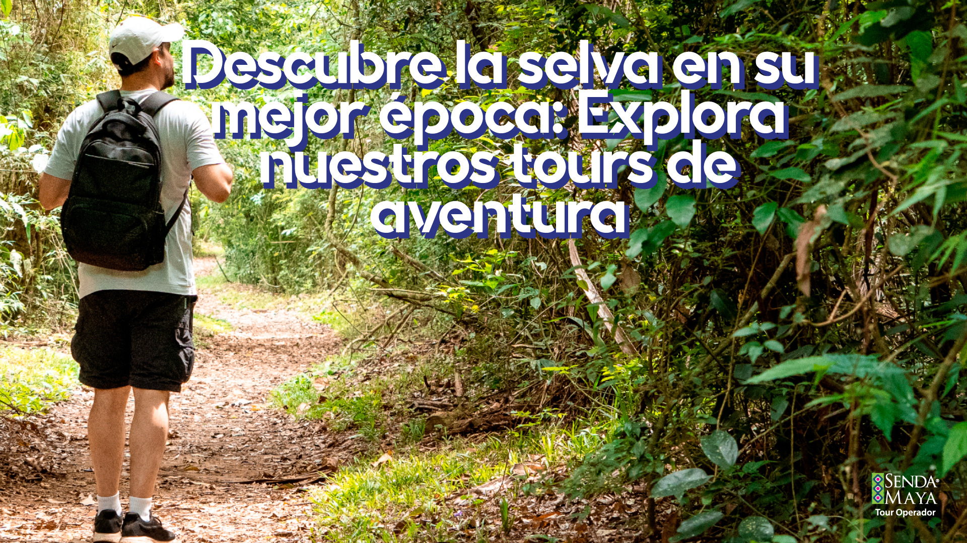 Conoce nuestros tours de aventura por chiapas y la selva lacandona de senda maya 2026