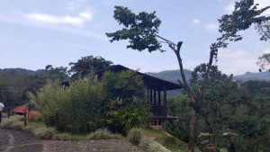 Super Tour CHIAPAS - AROMA DE CAFÉ- Conoce la ruta del café en chiapas