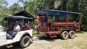 Super Tour CHIAPAS - AROMA DE CAFÉ- Conoce la ruta del café en chiapas