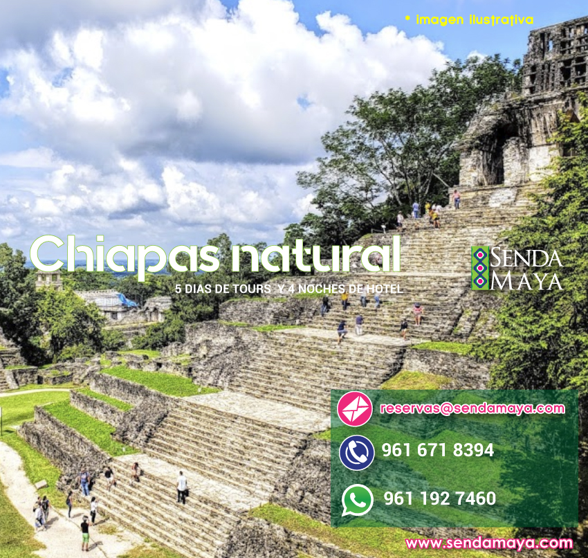 TOUR CHIAPAS NATURAL: conoce palenque 2024 chiapas natural tour grupal senda maya