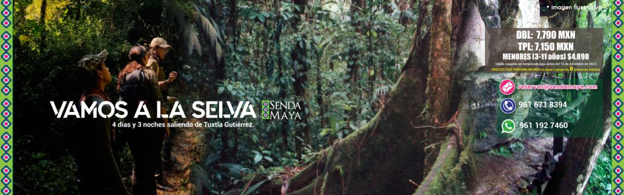 ¡VAMOS A LA SELVA!: Tour en la Selva Lacandona