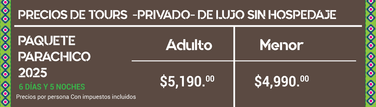 Precios tour fiesta grande de chiapa 2025