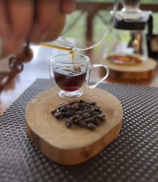 Super Tour CHIAPAS - BIENVENIDOS A LA RUTA DEL CAFÉ EN FINCA ARGOVIA