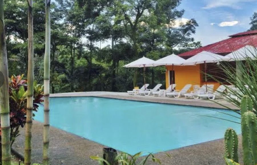 Super Tour CHIAPAS- BIENVENIDOS A LA RUTA DEL CAFÉ EN FINCA ARGOVIA