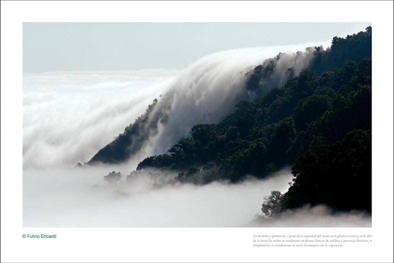 VIAJANDO CON SENDA MAYA apoyas a LA RESERVA EL TRIUNFO