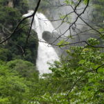 TOUR-CHIAPAS-NATURAL