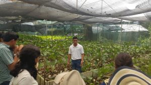 Super Tour CHIAPAS - AROMA DE CAFÉ- Conoce la ruta del café en chiapas