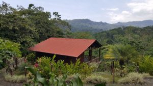 Super Tour CHIAPAS - AROMA DE CAFÉ- Conoce la ruta del café en chiapas